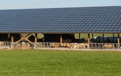 HANGAR AGRICOLE MONOPENTE PHOTOVOLTAÏQUE